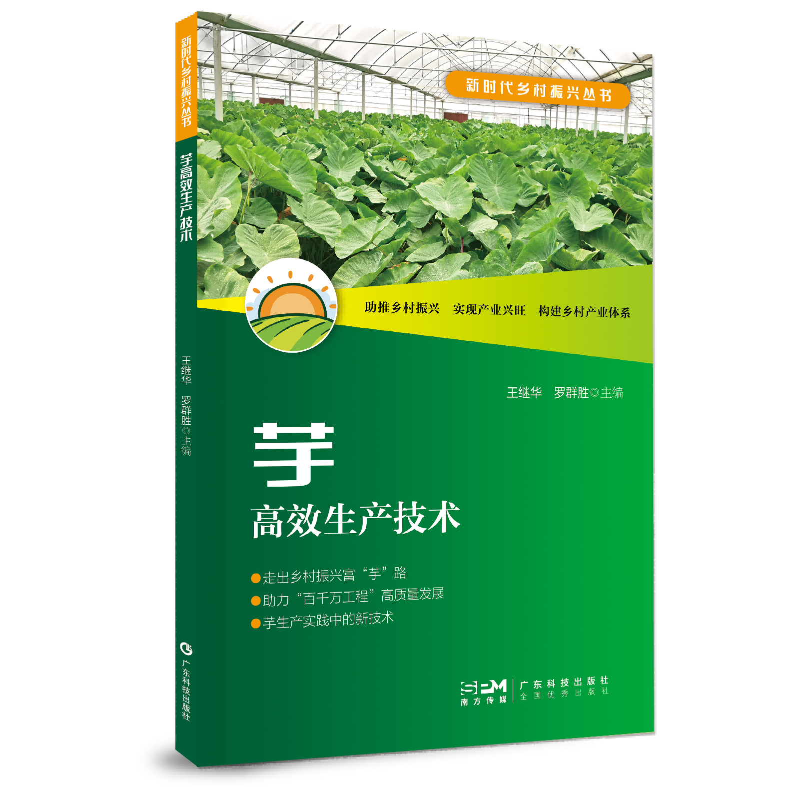 芋高效生产技术（新时代乡村振兴丛书）