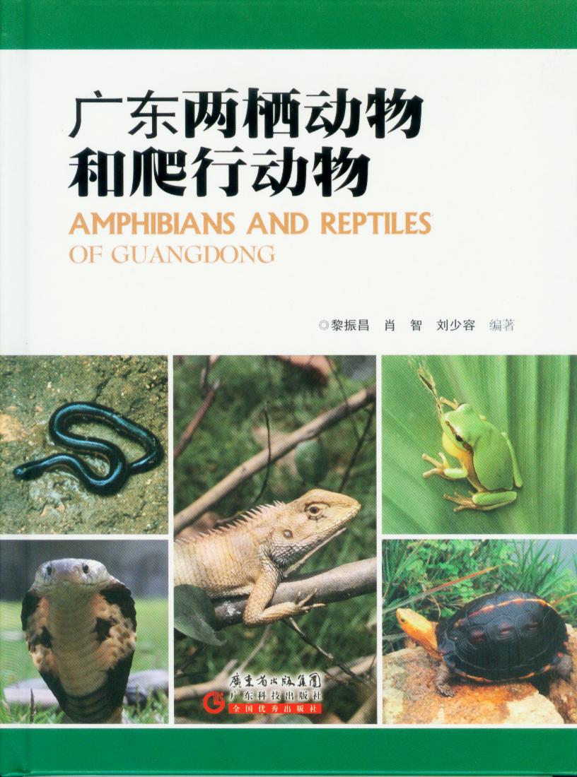广东两栖动物和爬行动物
