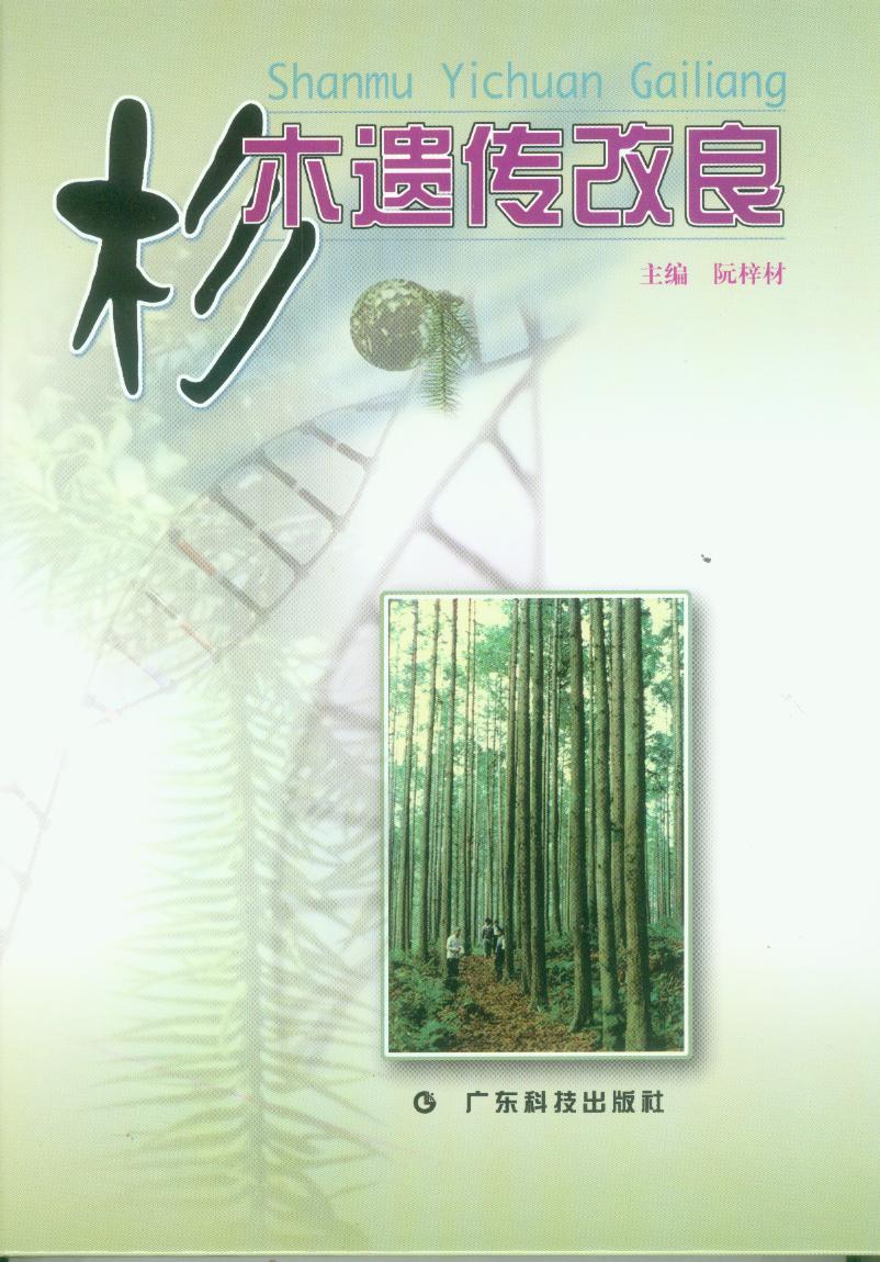 杉木遗传改良