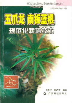 五爪龙 南板蓝根规范化栽培技术