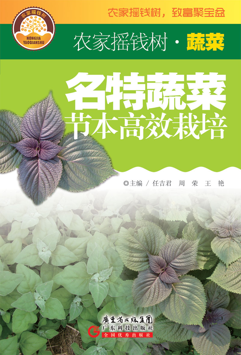 名特蔬菜节本高效栽培