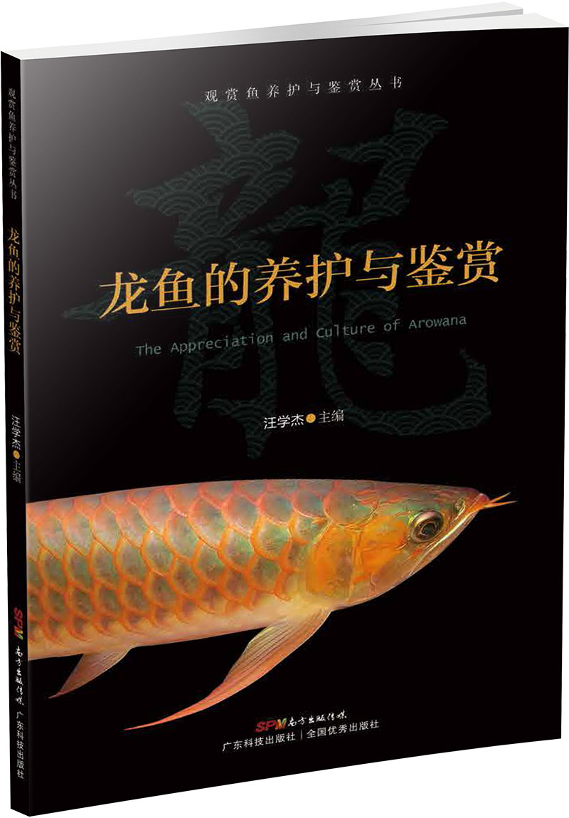 龙鱼的养护与鉴赏