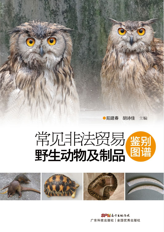 常见非法贸易野生动物及制品鉴别图谱